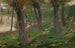 Saules au Bord d'un Étang - Henryk Uziembło — artwork view