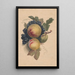 de Duraznos y Uvas - Henryka Beyer — cuadro enmarcado en la pared