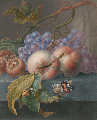 Herman Henstenburgh - Fruits With A Butterfly And A Snail.webp