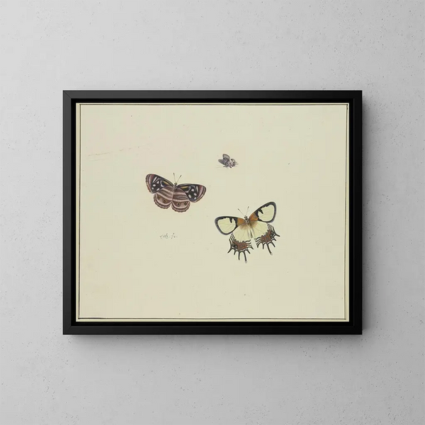 Tres mariposas - Herman Henstenburgh — cuadro enmarcado en la pared