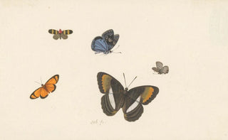 Herman Henstenburgh - Vijf vlinders.webp