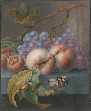 Herman Henstenburgh - Vruchten met een vlinder en een slak.webp