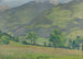 Valle soleado - Hermann Grom-Rottmayer — vista de la obra