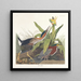 Héron verde - John James Audubon — cuadro enmarcado en la pared