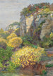 Genêt en fleurs sur Brioni - Hugo Charlemont — vista de la obra