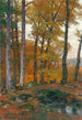Un claro del bosque con ciervos en otoño - Hugo Darnaut — vista de la obra