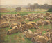 ovejas - Hugo Mühlig — vista de la obra