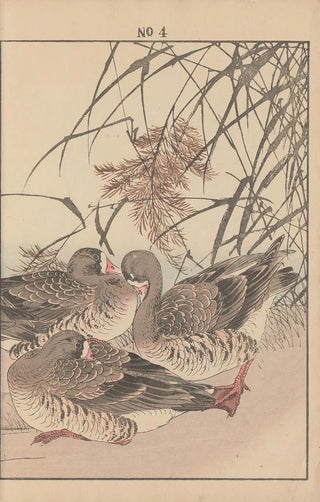 Imao Keinen - Keinen kach gafu Pl004.webp