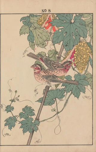 Imao Keinen - Keinen kach gafu Pl010.webp