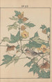 Keinen kach gafu Pl024 - Imao Keinen — artwork view