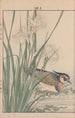 Keinen kach gafu Pl087 - Imao Keinen — artwork view