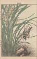 Keinen kach gafu Pl097 - Imao Keinen — artwork view