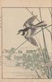 Keinen kach gafu Pl105 - Imao Keinen — artwork view