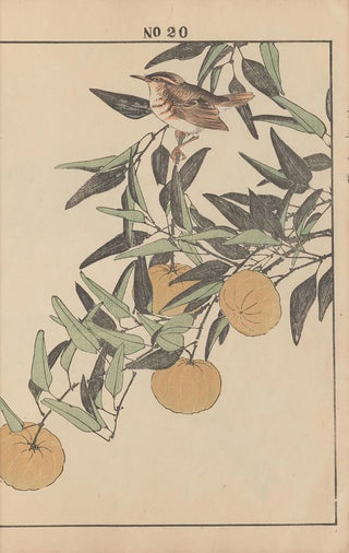 Imao Keinen - Keinen kach gafu Pl144.webp