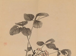 Imao Keinen - Keinen shugajo Pl32.webp