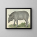 Tapir - Isaac van Haastert — cuadro enmarcado en la pared