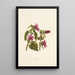 Hauhele - Isabella McHutcheson Sinclair — cuadro enmarcado en la pared