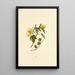 Mao Painting - Isabella McHutcheson Sinclair — framed artwork on a wall