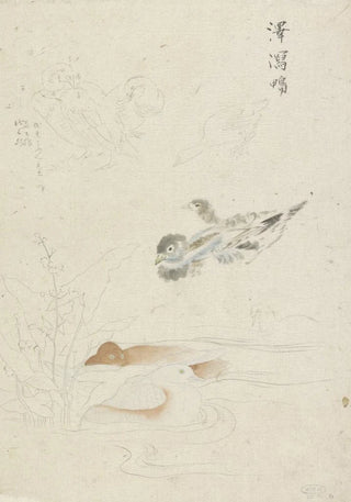 Ishikawa Kazan - Watervogels.webp