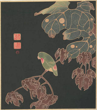 It Jakuch - The Paroquet.webp