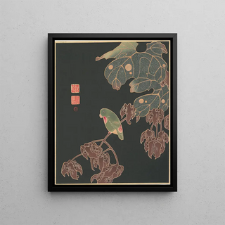 It Jakuch - The Paroquet.webp