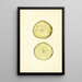 manzana doméstica - John F. Brewer | Cuadro — cuadro enmarcado en la pared