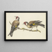 Two goldfinches painting - J H van Loon — framed artwork on a wall