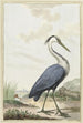 Heron cendré - Jabes Heenck — artwork view