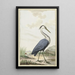 Heron cendré - Jabes Heenck — framed artwork on a wall