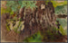 Landscape motif painting by Rozd - Jacek Malczewski — artwork view