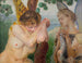 Tobias y una arpía - Jacek Malczewski — vista de la obra
