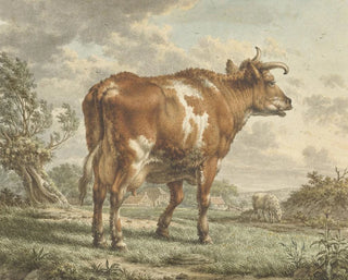 Jacob Cats - Roodbonte koe in een landschap.webp