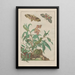 Precise observations of numerous tiny metamorphosed animals Pl10 - Jacob L'Admiral — framed artwork on a wall