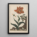 Precise observations of numerous metamorphosed small animals Pl12 - Jacob L'Admiral — framed artwork on a wall
