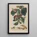 Precise observations of numerous tiny metamorphosed animals Painting Pl18 - Jacob L'Admiral — framed artwork on a wall