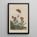 Precise observations of numerous metamorphosed small animals Pl19 - Jacob L'Admiral — framed artwork on a wall