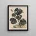 Precise observations of numerous animals sculpted with changing forms Pl20 - Jacob L'Admiral — framed artwork on a wall