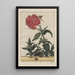 Precise observations of numerous metamorphosed small animals Pl22 - Jacob L'Admiral — framed artwork on a wall