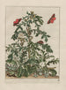 Precise observations on changes in numerous insects or shelled animals Pl03 - Jacob L'Admiral — artwork view