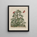 Precise observations on changes in numerous insects or shelled animals Pl03 - Jacob L'Admiral — framed artwork on a wall