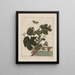 Precise observations on the changes of many insects or shelled animals Pl04 - Jacob L'Admiral — framed artwork on a wall