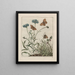 Observations précises sur les changements de nombreux insectes ou animaux à carapace Pl06 - Jacob L'Admiral — framed artwork on a wall