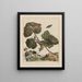Precise observations on the changes of numerous insects or sculptor animals Painting Pl14 - Jacob L'Admiral — framed artwork on a wall