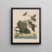 Observaciones precisas sobre los cambios de numerosos insectos o animales con caparazón Pl28 - Jacob L'Admiral — cuadro enmarcado en la pared