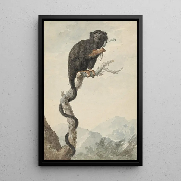 Jacob Perkois - A Redhanded Tamarin.webp