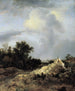 paisaje de dunas con cerca - Jacob van Ruisdael — vista de la obra