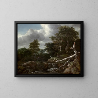 Jacob van Ruisdael - Forest Scene.webp