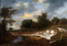 Falaise sablonneuse - Jacob van Ruisdael — vista de la obra