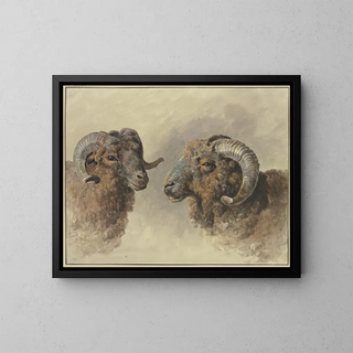 Jacob van Strij - Two sheep.webp