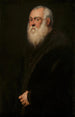 Hombre con barba blanca - Jacopo Tintoretto — vista de la obra